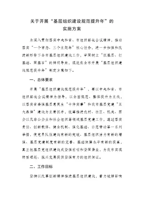 关于开展“基层组织建设规范提升年”的实施方案