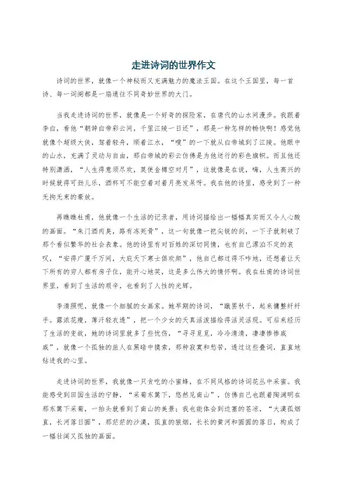 走进诗词的世界作文