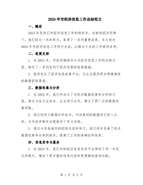 2024年市经济信息工作总结范文