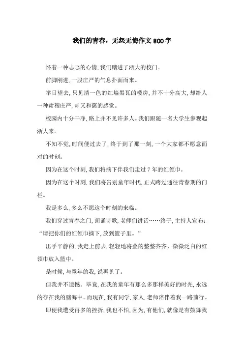 我们的青春,无怨无悔作文800字