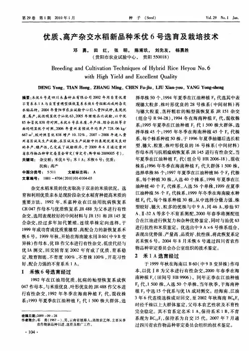 优质、高产杂交水稻新品种禾优6号选育及栽培技术