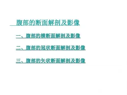 腹部断面及影像