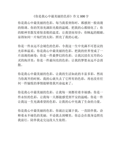 《你是我心中最美丽的色彩》作文800字