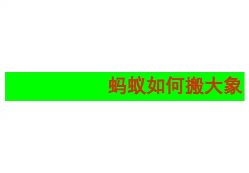 蚂蚁搬大象