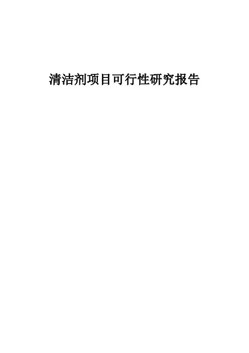 2024年清洁剂项目可行性研究报告