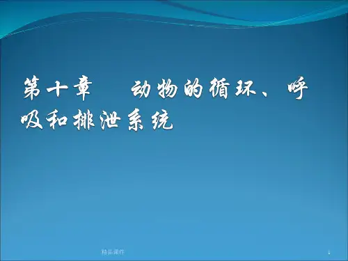 动物的循环呼吸和排泄系统PPT课件