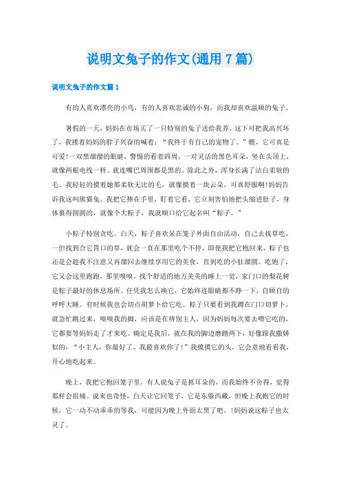 说明文兔子的作文(通用7篇)