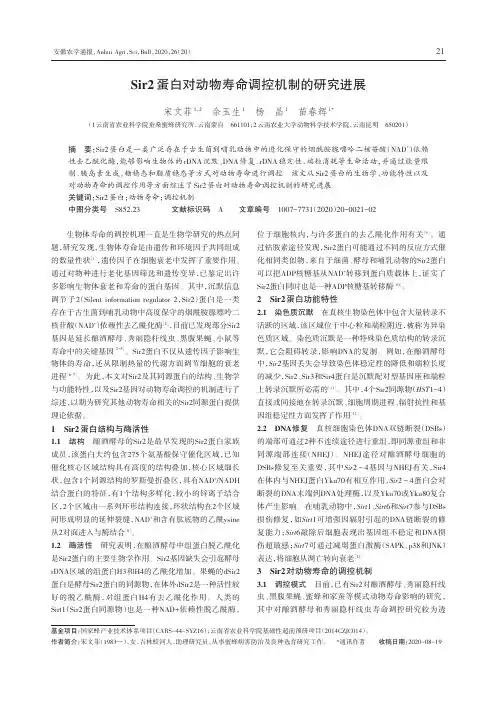 Sir2蛋白对动物寿命调控机制的研究进展