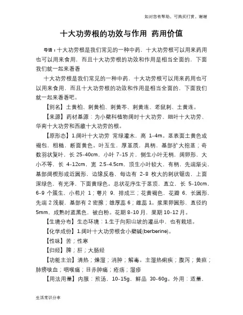 十大功劳根的功效与作用 药用价值