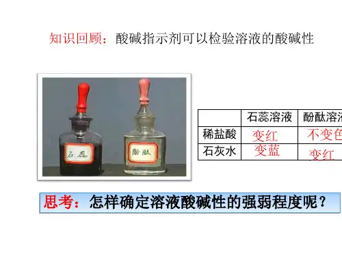 初中化学九下10.2 酸碱中和反应  课件(2)