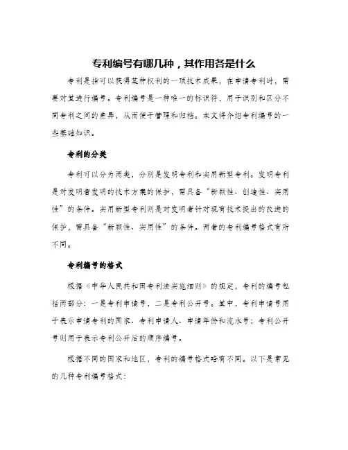 专利编号有哪几种其作用各是什么