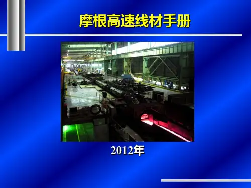 摩根六代高速线材工艺介绍