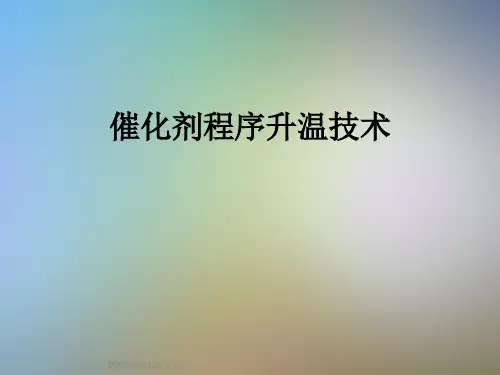 催化剂程序升温技术