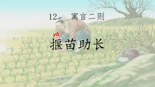 《揠苗助长》ppt课件完美版