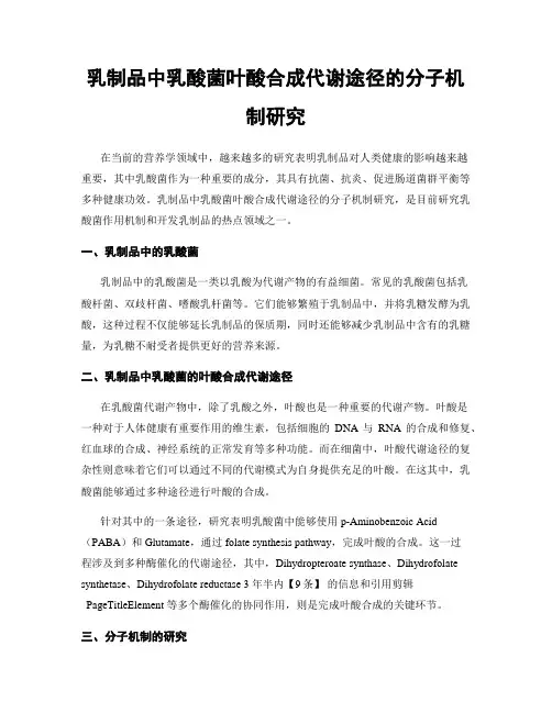 乳制品中乳酸菌叶酸合成代谢途径的分子机制研究