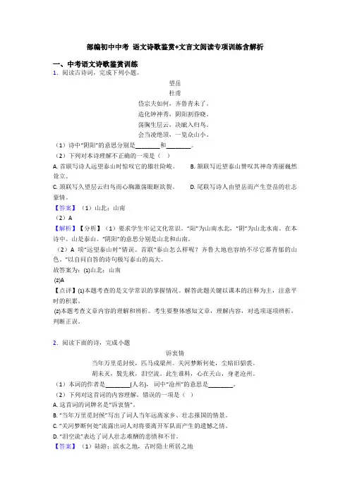 部编初中中考 语文诗歌鉴赏+文言文阅读专项训练含解析