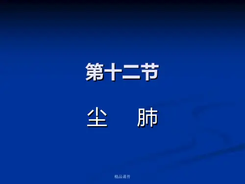 尘肺的CT表现