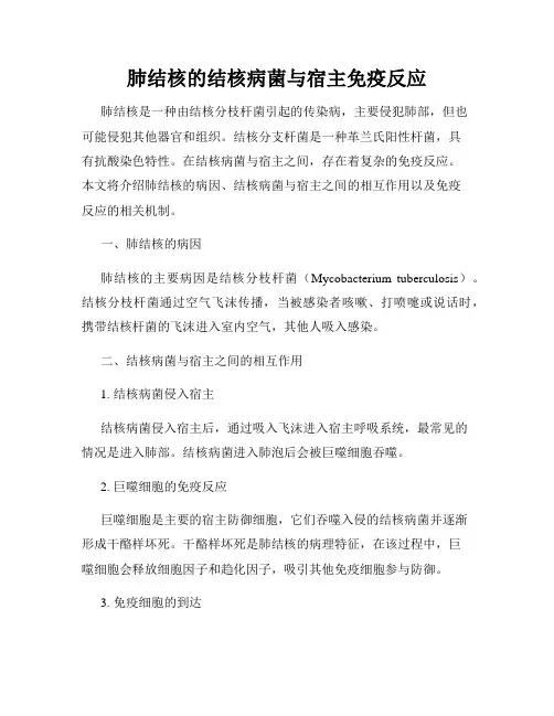 肺结核的结核病菌与宿主免疫反应