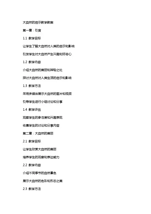 大自然的启示教学教案