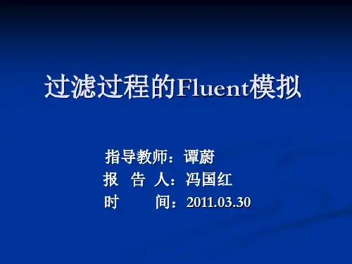 过滤过程fluent模拟