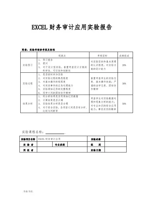 EXCEL财务审计应用实验报告