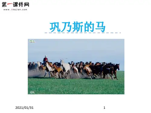 1.3 巩乃斯的马 北师大版优质课件PPT
