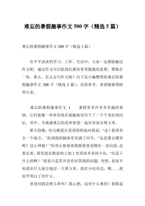 难忘的暑假趣事作文500字(精选5篇)