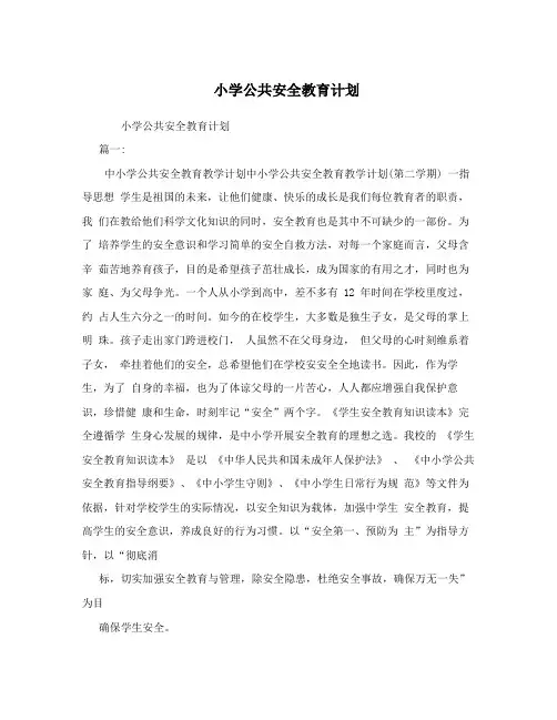 小学公共安全教育计划