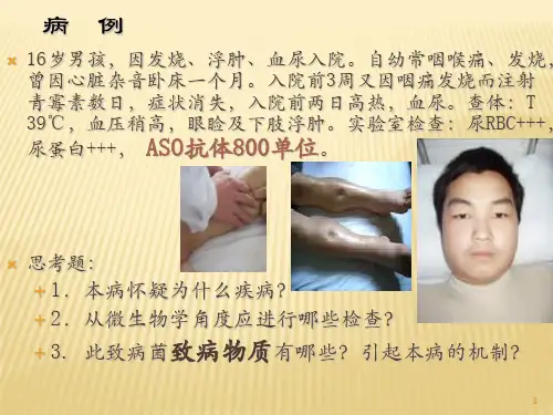 链球菌课件PPT课件