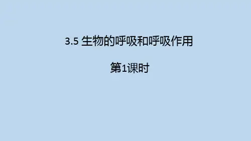 浙教版科学八年级下册3-5 生物的呼吸和呼吸作用第1课时
