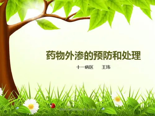 药物外渗的预防和处理 ppt课件