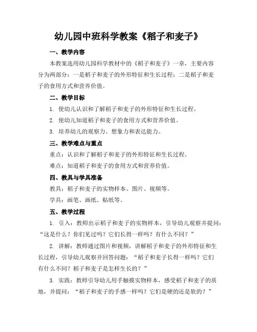 幼儿园中班科学教案《稻子和麦子》