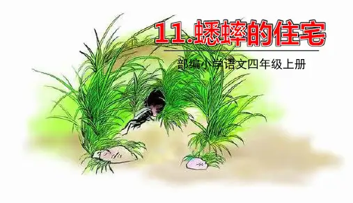 11蟋蟀的住宅   课件