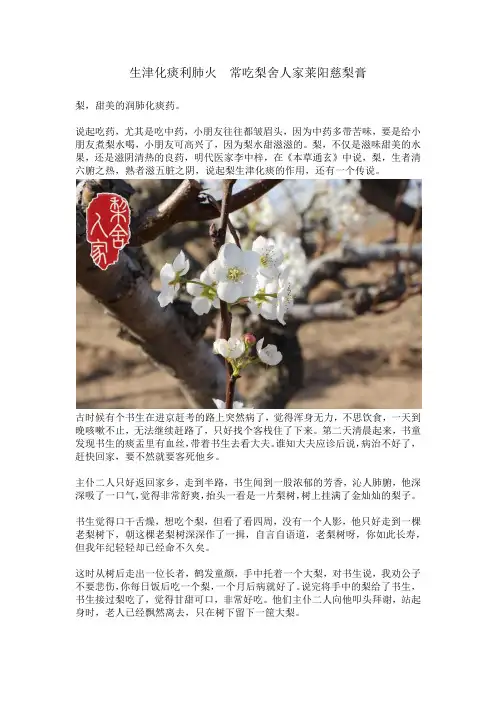 生津化痰灭肺火 常吃梨舍人家莱阳慈梨膏