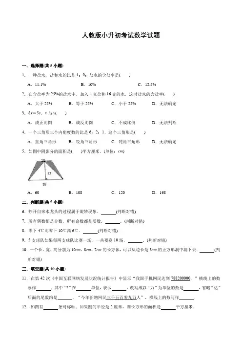人教版数学六年级小升初试卷含答案解析