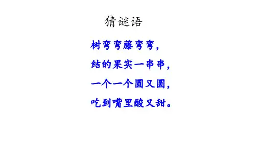 二年级语文上 葡萄沟 (部编教材)