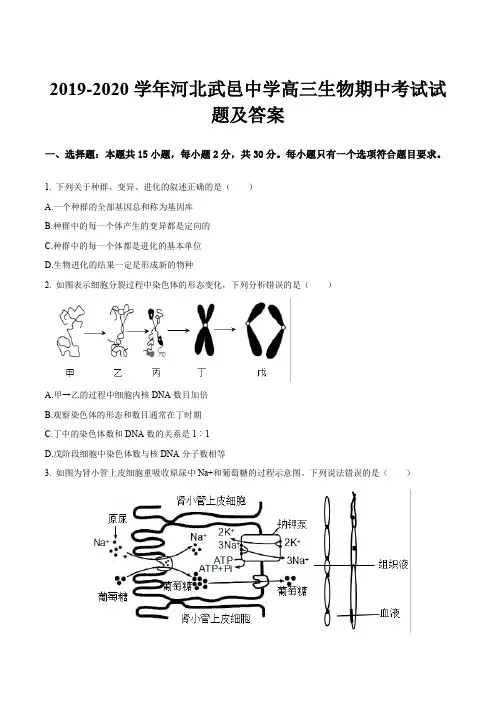 2019-2020学年河北武邑中学高三生物期中考试试题及答案
