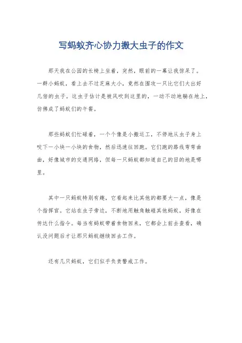 写蚂蚁齐心协力搬大虫子的作文