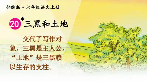 人教部编版六年级语文上册第20课《三黑和土地》优质课件(共62张PPT)