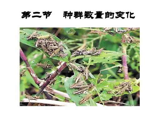 人教版高中生物必修3课件---种群数量的变化(共156张PPT)