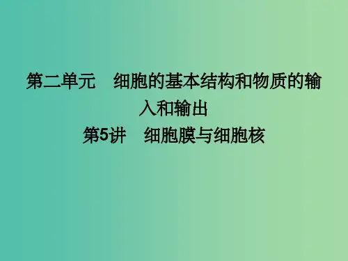 高考生物一轮复习 第二单元 细胞的基本结构和物质的输入和输出 第5讲 细胞膜与细胞核课件