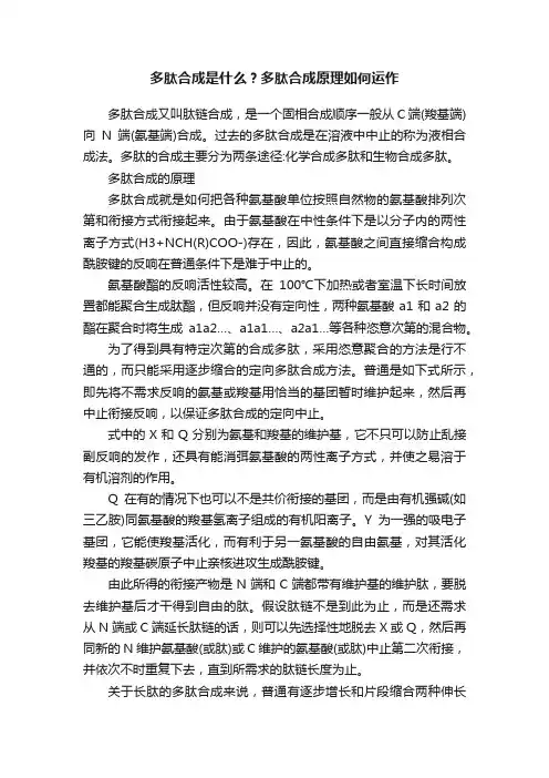 多肽合成是什么？多肽合成原理如何运作