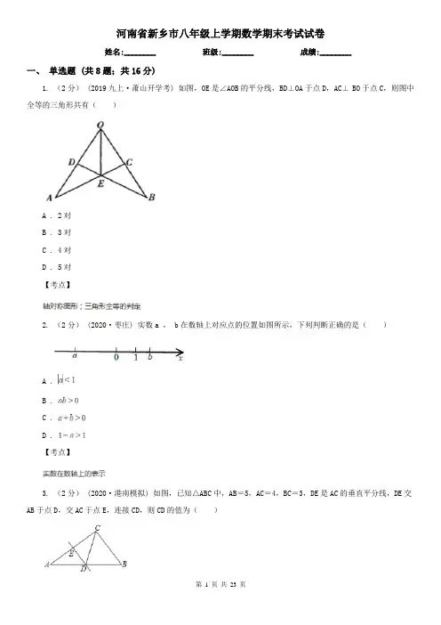 河南省新乡市八年级上学期数学期末考试试卷