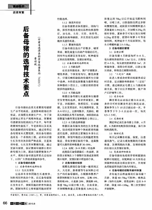 后备母猪的选育技术要点