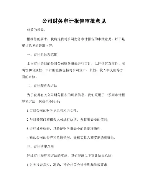 公司财务审计报告审批意见