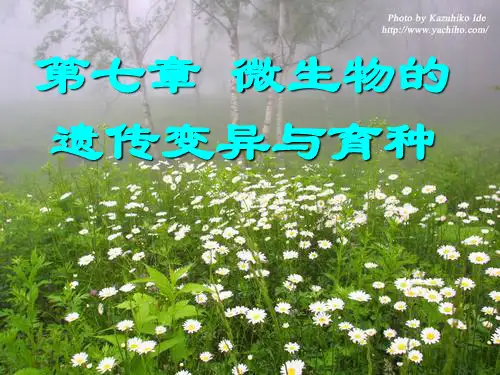微生物的遗传变异与育种