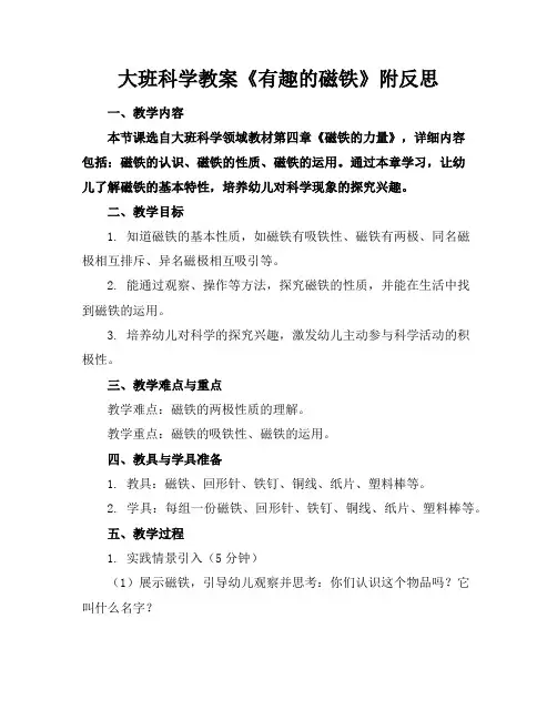 大班科学教案《有趣的磁铁》附反思