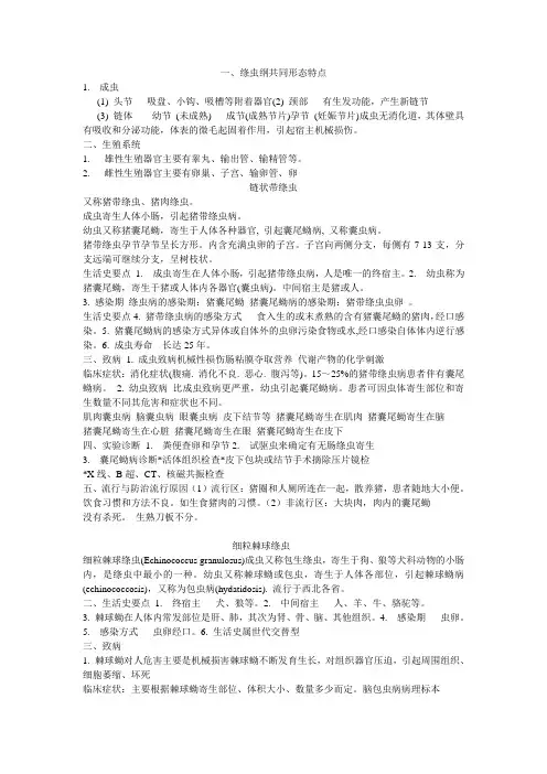 绦虫 线虫寄生虫