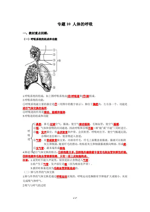 专题10 人体的呼吸-2020年中考生物必考必练精品(解析版)
