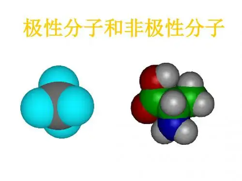 极性分子和非极性分子